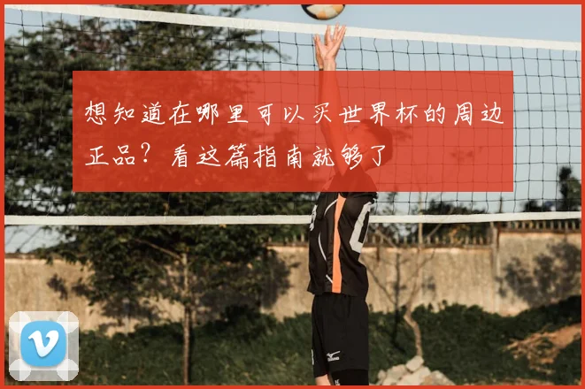 想知道在哪里可以买世界杯的周边正品?看这篇指南就够了