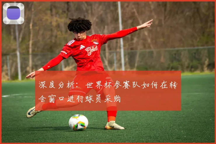 深度分析：世界杯参赛队如何在转会窗口进行球员采购