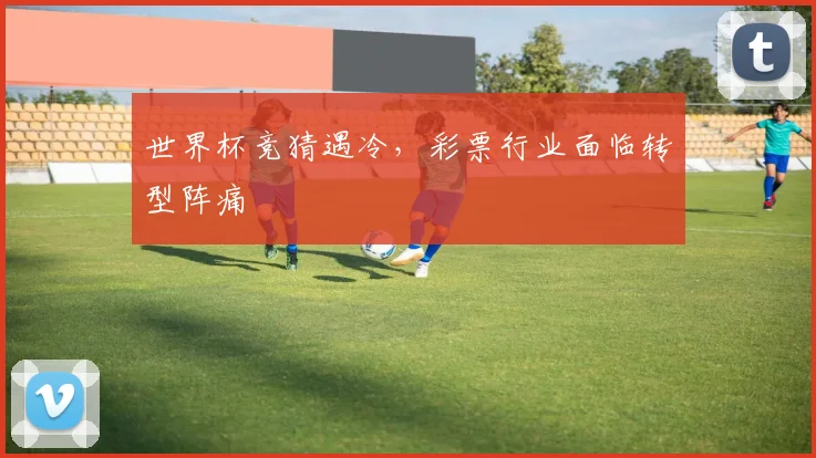世界杯竞猜遇冷，彩票行业面临转型阵痛