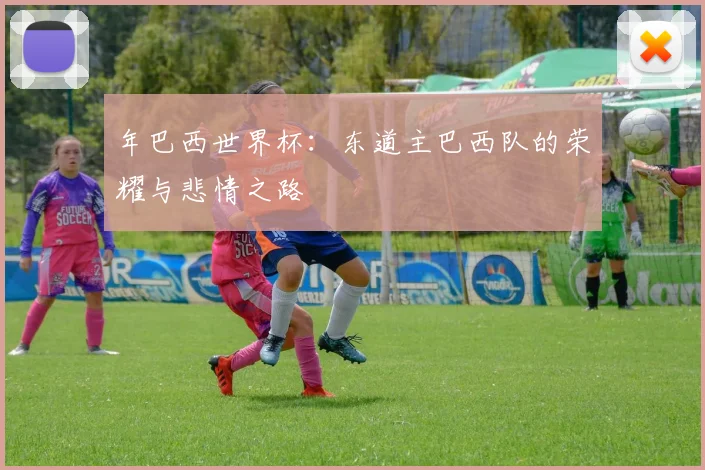 年巴西世界杯:东道主巴西队的荣耀与悲情之路