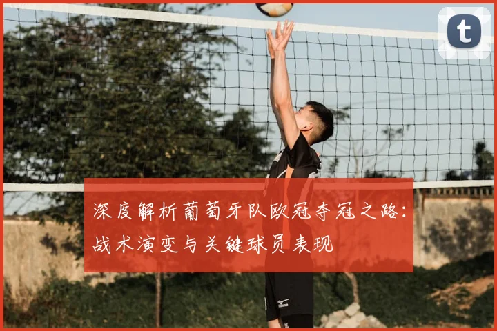 深度解析葡萄牙队欧冠夺冠之路：战术演变与关键球员表现