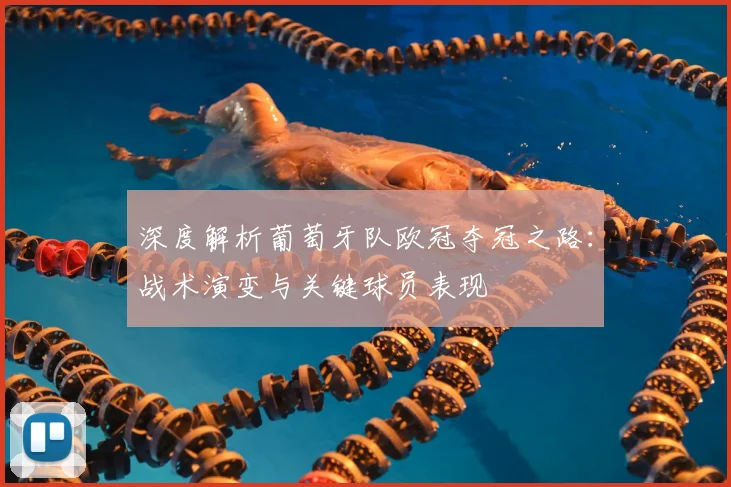 深度解析葡萄牙队欧冠夺冠之路：战术演变与关键球员表现