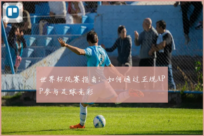 世界杯观赛指南：如何通过正规APP参与足球竞彩