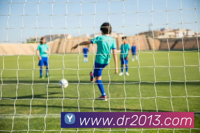 多媒体互动体验